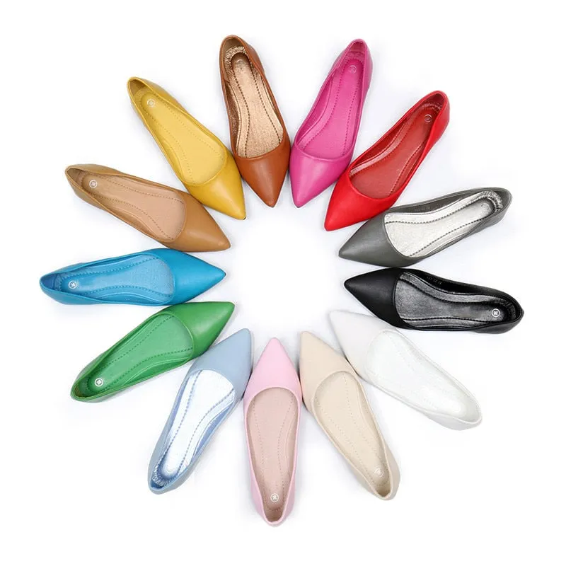 Women's Spring/Autumn Leather Pointed Toe Flats